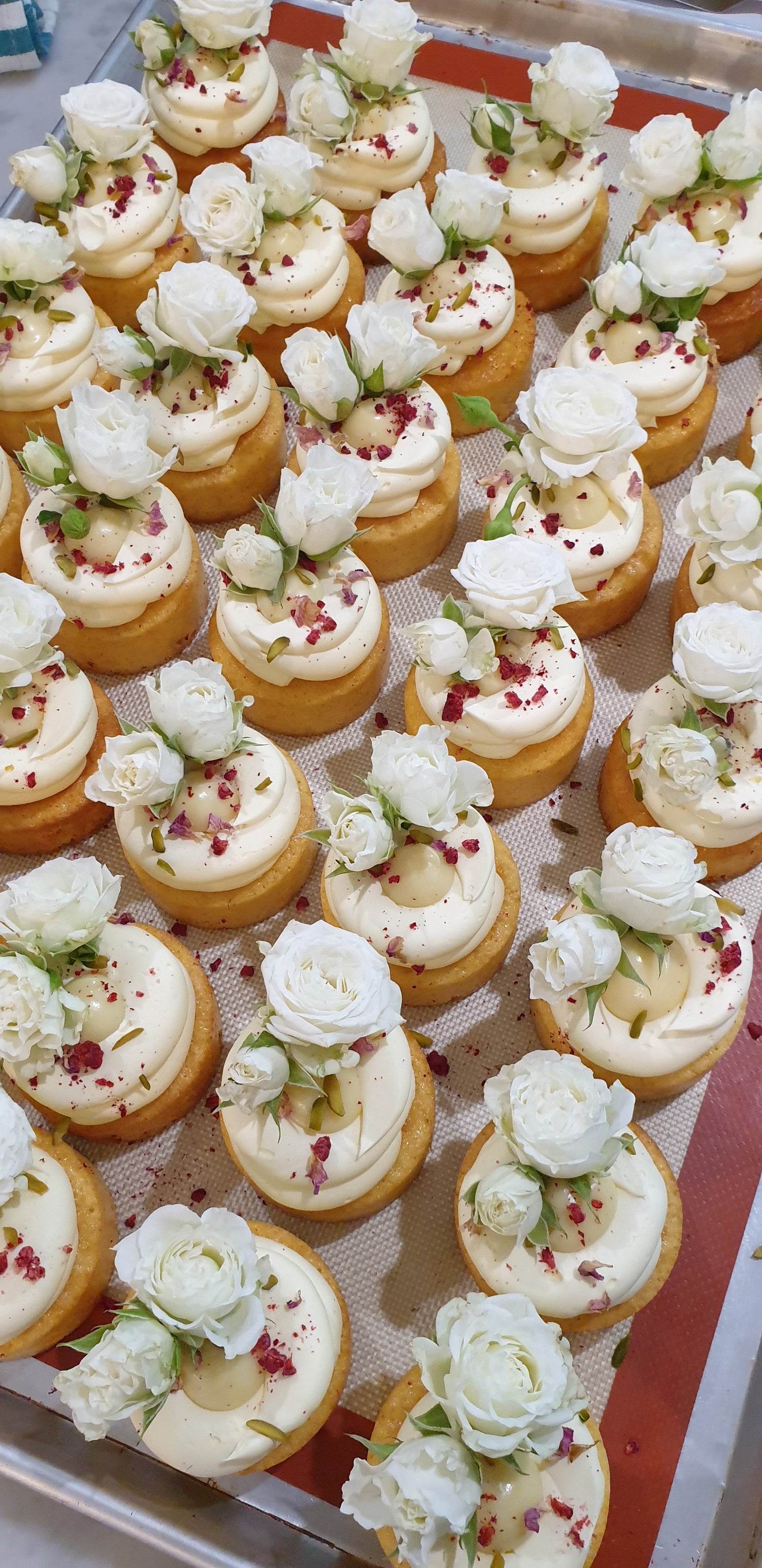 Signature Minis